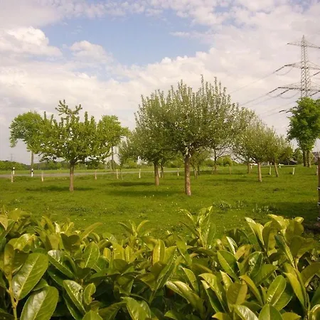 Pleasant In Munster (North Rhine-Westphalia)