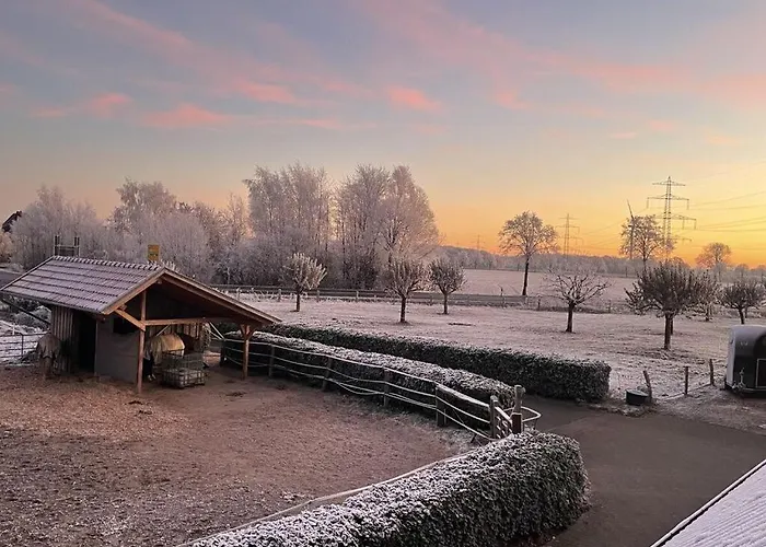 Pleasant In Apartament Munster (North Rhine-Westphalia)