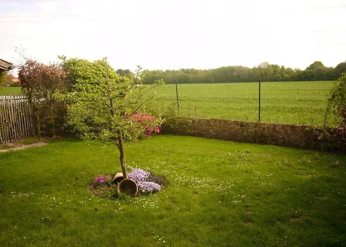 Pleasant In Munster (North Rhine-Westphalia)