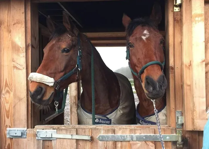 Pleasant In Münster