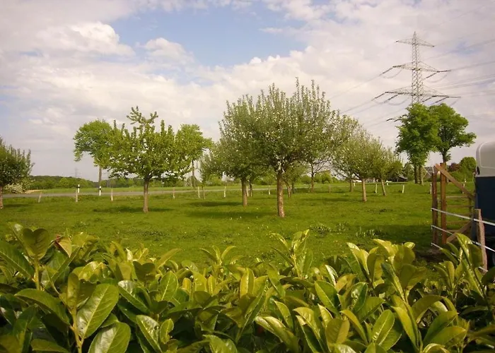 Pleasant In Münster