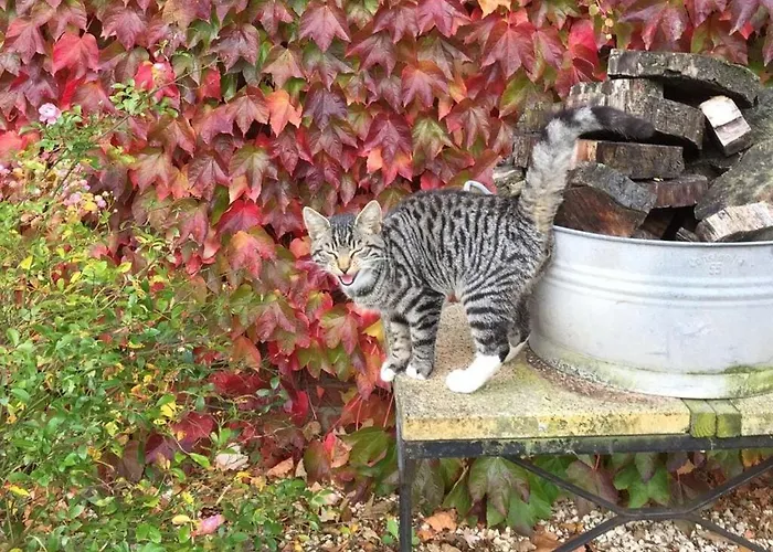 Pleasant In Münster